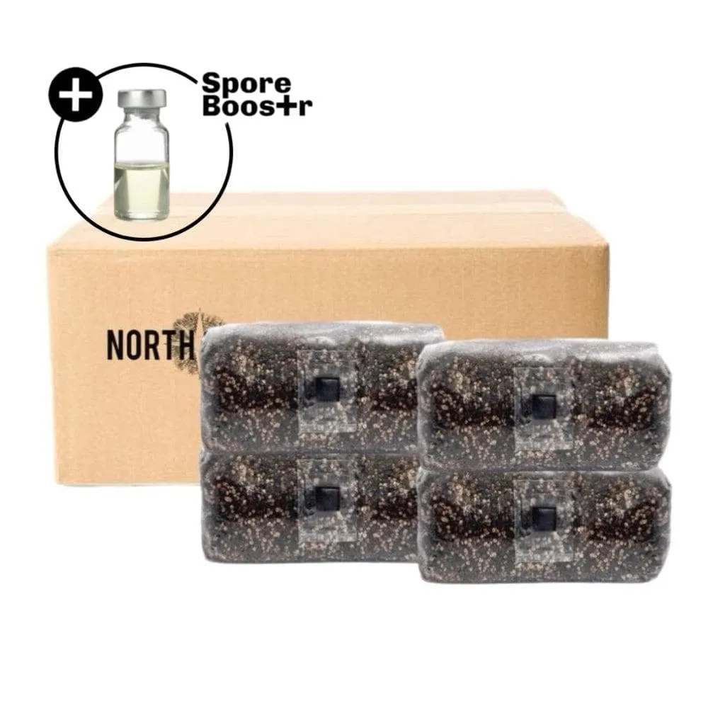 4-pack 'ShroomTek'   Spore Boostr All-in-One Mushroom Grow Bag