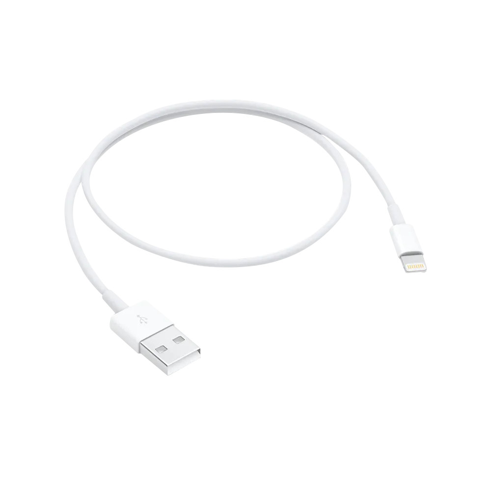 Apple Lightning to USB Cable (0.5 m)