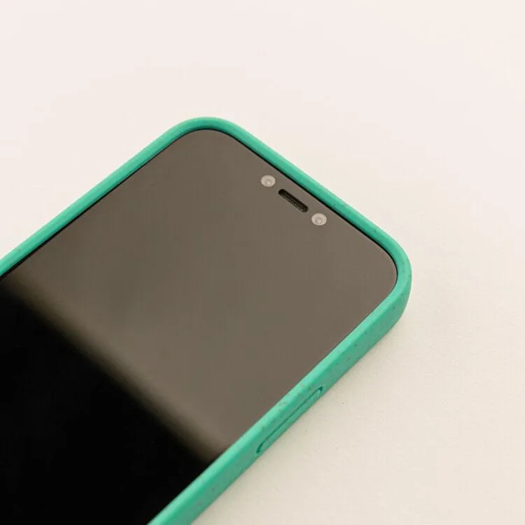 iPhone 12 Mini - Etched