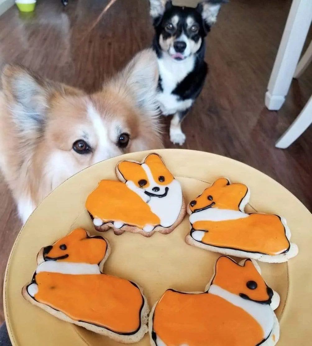 Set of 3 | Corgi Cookie Cutters